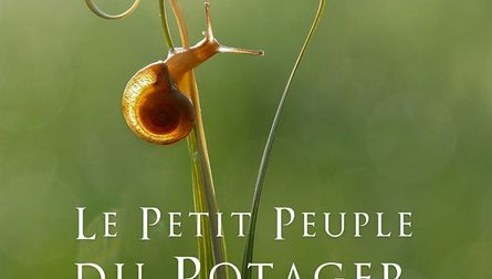 CINE-GOUTER "Le Petit Peuple du Potager"